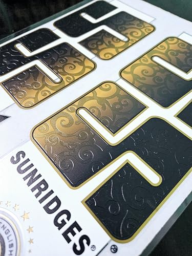 AYN Cricket Bat Sticker | 4D Digital English Willow Fiber Tape | DR RUSS Gold