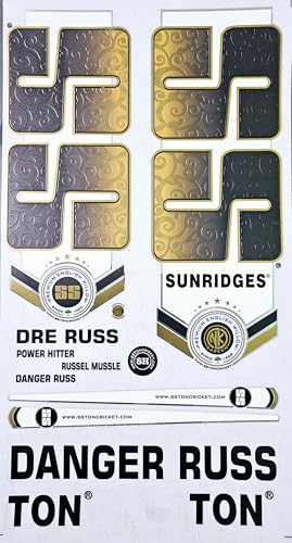AYN Cricket Bat Sticker | 4D Digital English Willow Fiber Tape | DR RUSS Gold