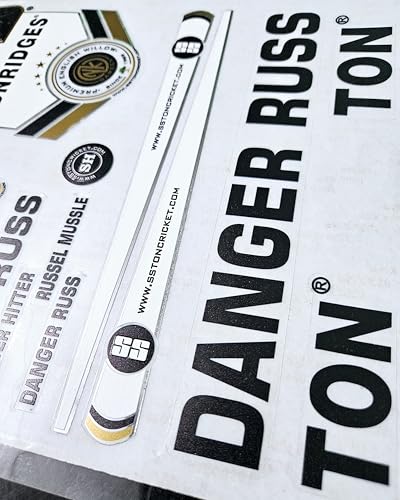 AYN Cricket Bat Sticker | 4D Digital English Willow Fiber Tape | DR RUSS Gold